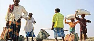सरकारको निर्णयप्रति निजी क्षेत्र असन्तुष्ट