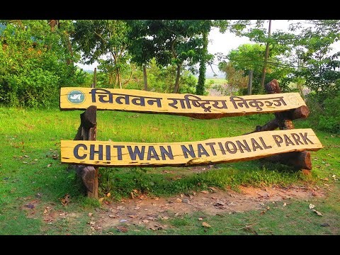 चितवन राष्ट्रिय निकुञ्जले पर्यटकीय गतिविधिमा लगायो रोक, यस्तो छ कारण