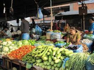 भारतीय सागसब्जीमा कडाइ, बाँकेका किसानका उत्पादनले पायो बजार