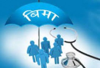 बीमा कम्पनीका शाखा बन्द गर्न निर्देशन दिने समितिको तयारी 