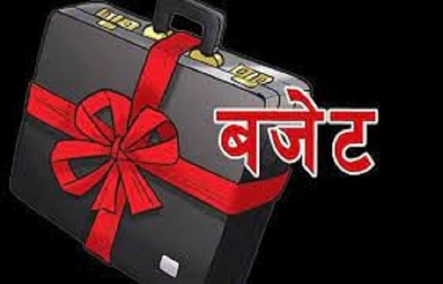 बजेट विनियोजन गरिएको मुख्य मुख्य बुँदाहरू ?