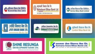 २७ प्रतिशतसम्म घट्याे विकास बैंकको नाफा, राष्ट्रिय स्तरका ४ वटा विकास बैंकको मात्रै नाफामा वृद्धि