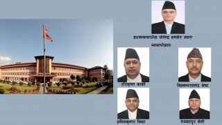 विवादित न्यायाधीशहरुले इजलास छाडेनन्