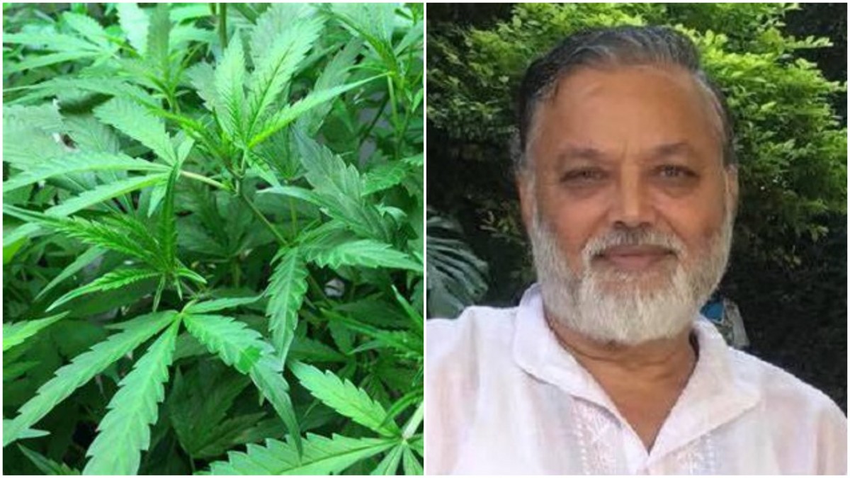 दुई दिनमै देशभर फैलियो 'गाँजा सचेतना अभियान', के हो उद्देश्य ?