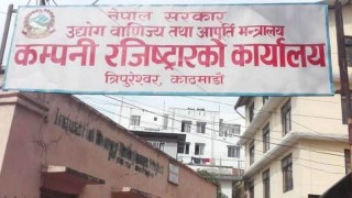 विदेशी लगानीका कम्पनी दर्ता गर्न छुट्टै डेस्क
