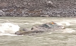 सप्तकोशीको ढुंगामा केन्द्र र प्रदेश सरकारबीच टकराव