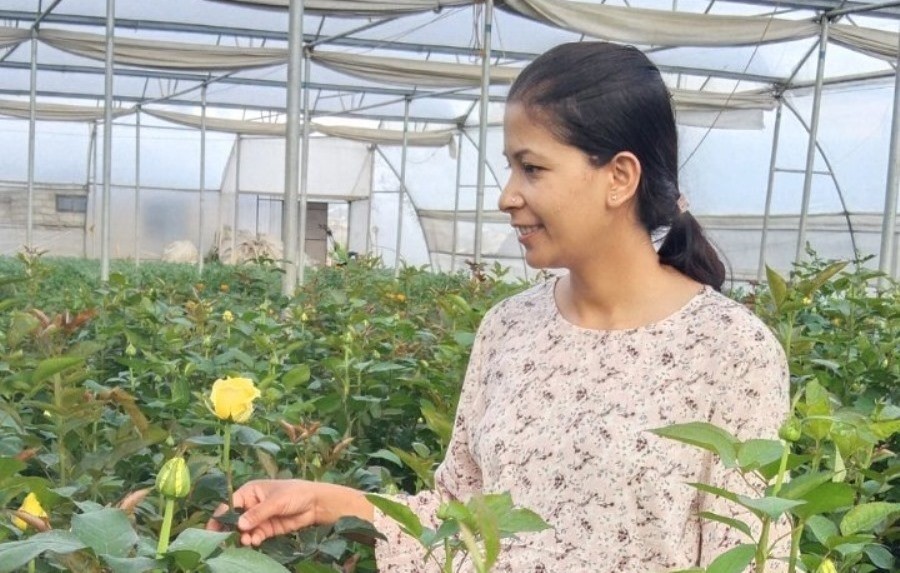 शिक्षण छोडेर पुष्प व्यवसायमा लागेकी अञ्जनाको संघर्षः लाखाैंको कमाइ, १५ जनालाई रोजगारी