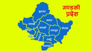 गण्डकी प्रदेशमा राष्ट्रबैंकको अध्ययनः दक्ष कामदार नहुँदा उद्योग पूर्ण क्षमतामा चलेनन्