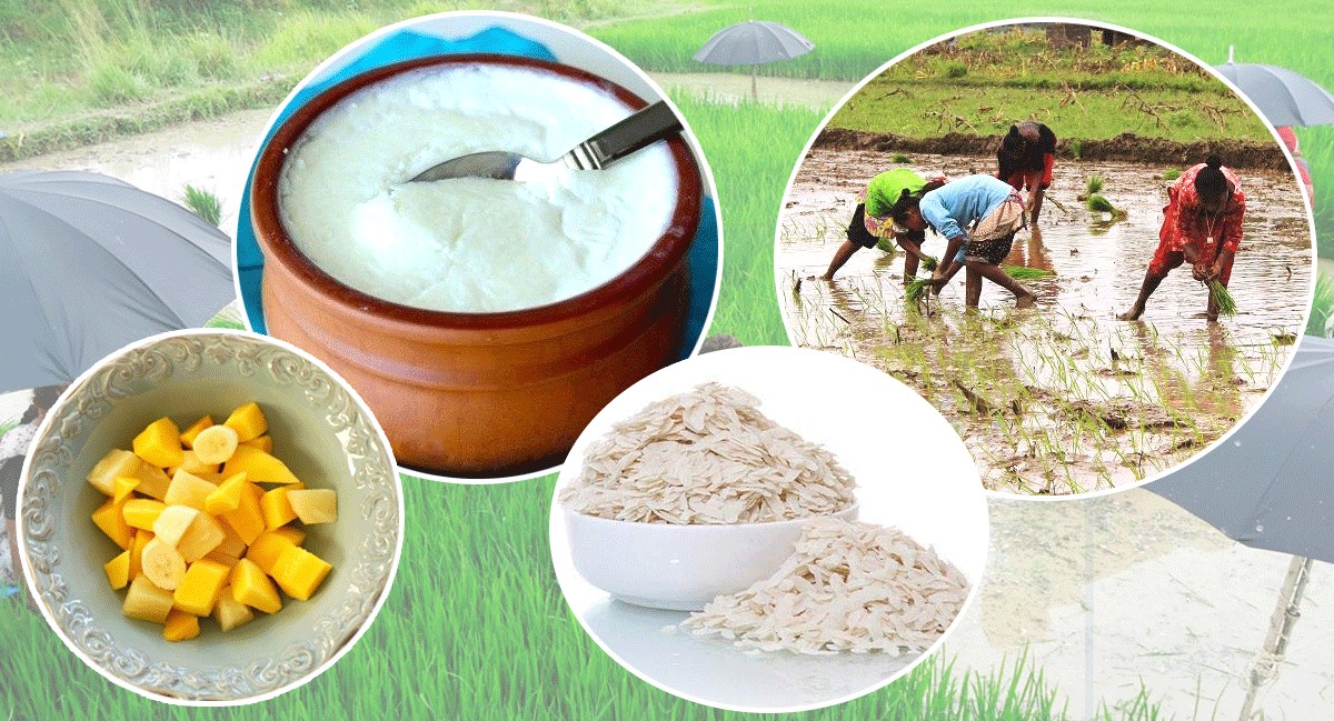 असार १५ : दही चिउरा संस्कृति र धान दिवस 
