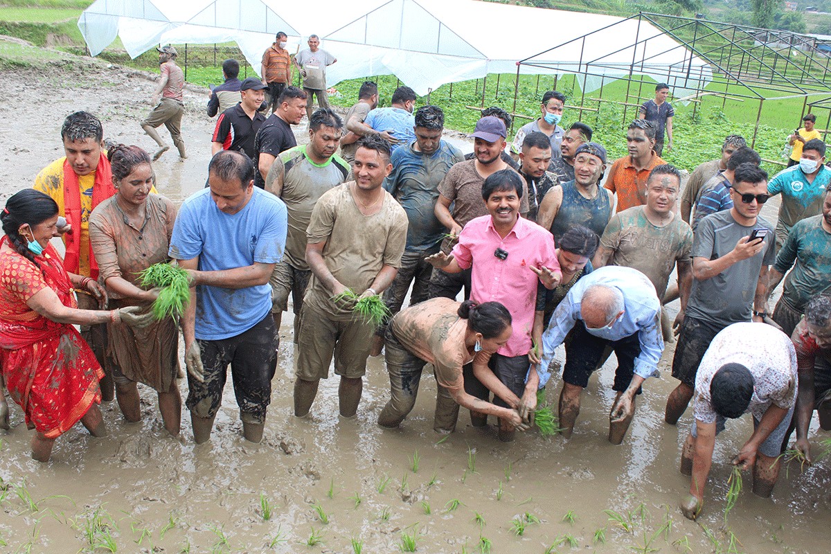 भक्तपुरमा यस्तो देखियो १५ असारे रोपाइँ मेला