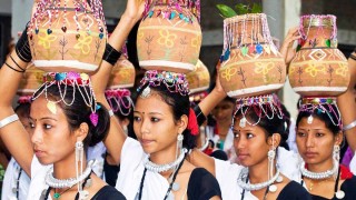 थारु समाजद्धारा भाषा आयोगको प्रतिवेदनप्रति असन्तुष्टि