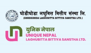 मर्जरको कारण १० महिनादेखि रोकियो घोडीघोडाको शेयर कारोबार, साधारणसभा असोज १६ मा