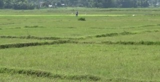 घर-जग्गा कारोबार : सबैभन्दा बढी झापामा हुँदा अन्य जिल्लामा कति ?