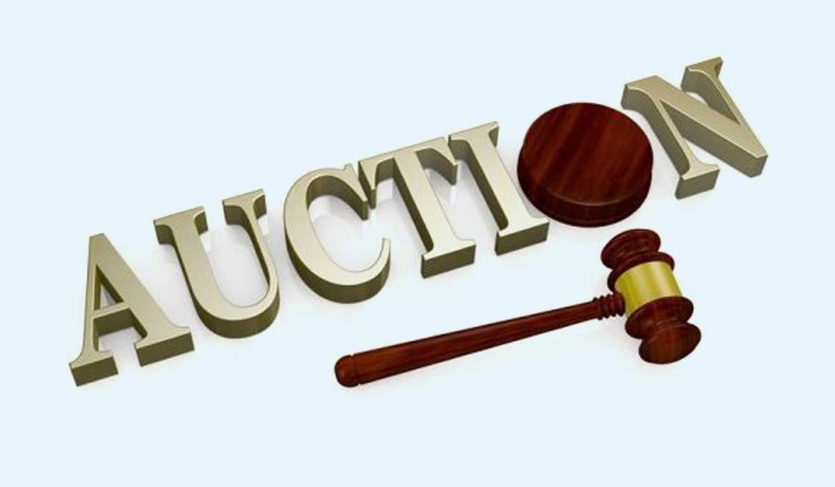 छ्याङ्दी हाइड्रोपावरको ६० हजार कित्ता शेयरको लिलामी खुल्दै