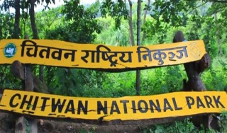 निकुञ्ज संरक्षणमा मध्यवर्ती क्षेत्र प्रभावकारी