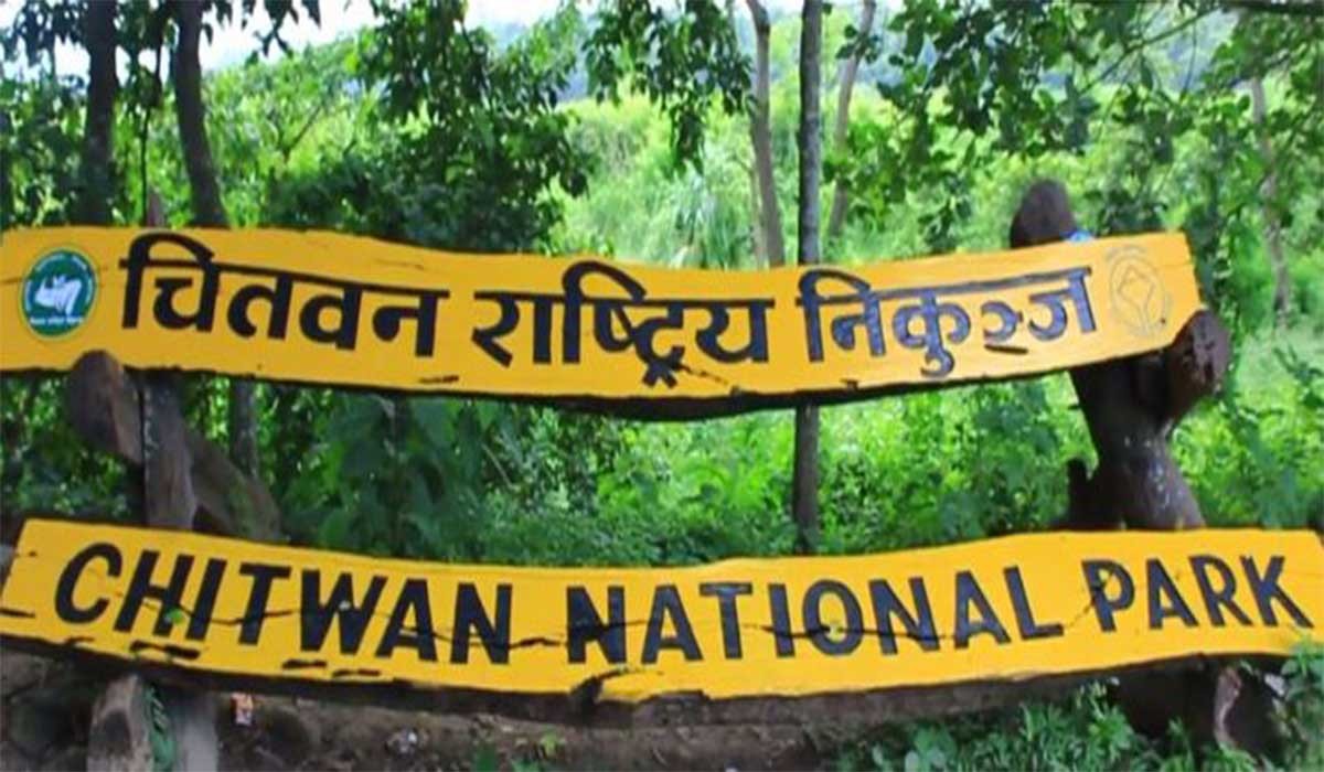 निकुञ्ज संरक्षणमा मध्यवर्ती क्षेत्र प्रभावकारी