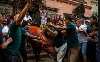 महानवमीको अवसरमा खःमेय् जात्रा मनाइँदै