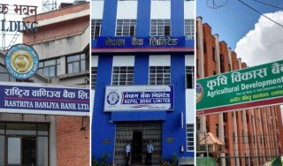 सरकारी बैंकले बढाए निक्षेपको ब्याजदर, सानिमा बैंकले घटायो