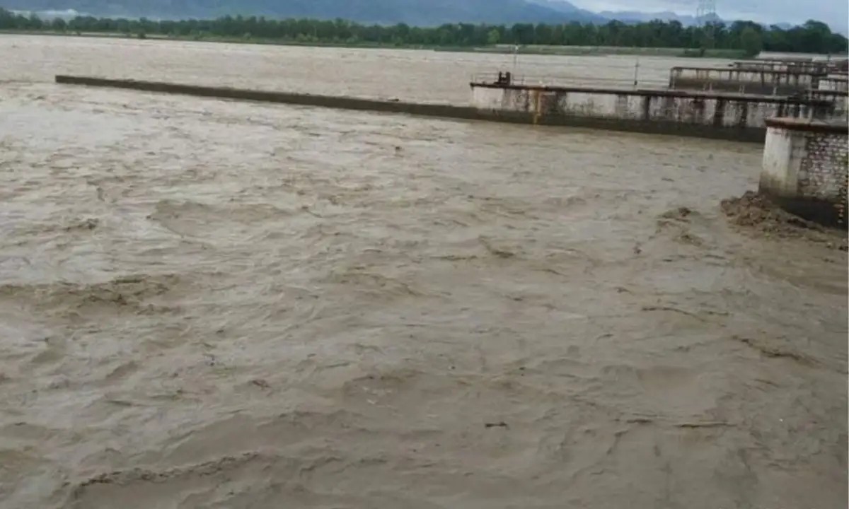 महाकाली बाढीमा पाँचजना फसे,  रुखमा बसेर उद्दारको प्रतीक्षा