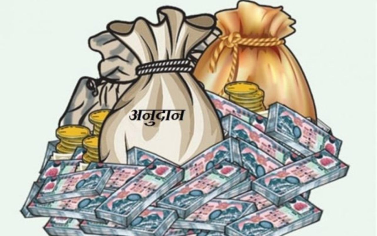 पाँच लाखले यसरी पाउनेछन् सरकारबाट अनुदान