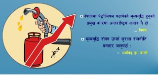 पेट्रोलियम पदार्थको मूल्यवृद्धि अन्तर्राष्ट्रिय कारण
