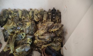 अवैध रुपमा ल्याइएका १२ लाख बढीको मोटरपार्टस् बरामद