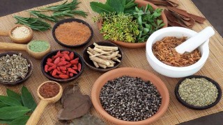 निशुल्क आयुर्वेदिक औषधि वितरण