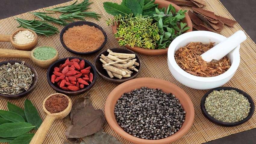 निशुल्क आयुर्वेदिक औषधि वितरण