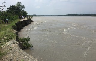 लगातारको वर्षासँगै गण्डक ब्यारेजका सबै ढोका खुला, ५ स्थानीय तह जोखिममा
