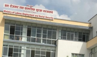 रोजगारीका समस्या हटाउन ३ कार्यदल गठन, १५ दिने कार्यादेश