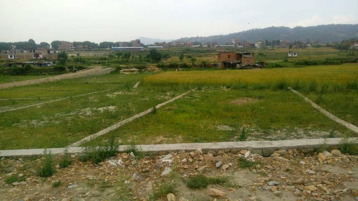 कित्ताकाट खुलेसँगै घरजग्गा कारोबार चम्किँदै