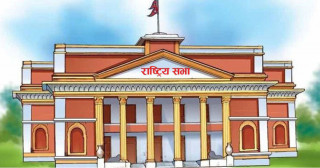 राष्ट्रियसभा सदस्य निर्वाचन : १९ पदका लागि ४३ उम्मेदवार