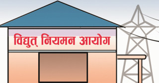 विद्युत् नियमन आयोगका अध्यक्ष सहित अन्य पदाधिकारी निलम्बित