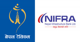 ठूला दुई कम्पनीको शेयरमा उच्च उतारचढाव