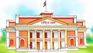 राष्ट्रिय सभाका १९ सांसदले लिए पद तथा गोपनियताको शपथ