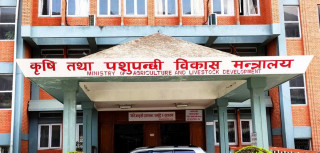 वर्षाले देशभर कृषि र पशुपन्छी क्षेत्रमा तीन अर्ब ५५ करोडको क्षति