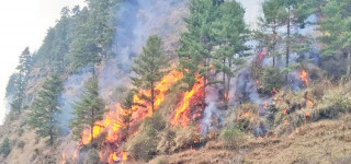 शिवपुरी राष्ट्रिय निकुञ्जमा लागेको डढेलो नियन्त्रण गर्न हेलिकप्टरको प्रयोग 