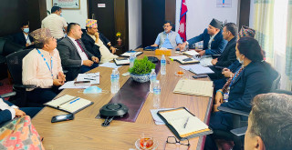 किसानलाई उन्नत जातको बिउ दिएर धानको उत्पादन तीन गुणा बढाउन अर्थमन्त्रीको निर्देशन