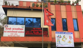 धादिङको गल्छीमा एमालेको अग्रता, उपमेयरमा काँग्रेस