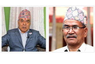 ललितपुर महानगरपालिकामा चिरिबाबुको भारी अग्रता