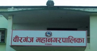 वीरगञ्ज महानगरमा  सिंहको अग्रता कायमै, ५ पालिकाको यस्तो छ मत परिणाम