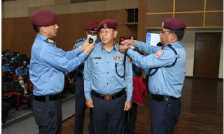 एआइजीमा पदोन्नति भएका लामालाई दज्र्यानी चिह्न प्रदान