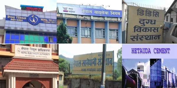 सार्वजनिक संस्थानको नाफा ४५ प्रतिशतले घट्यो, १९ संस्थान नोक्सानीमा