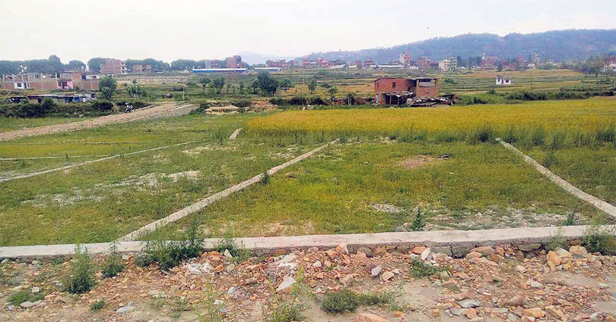 सरकारी मूल्याङ्कनमा कति छ दरबारमार्ग र न्यूरोडको जग्गाको भाऊ ?