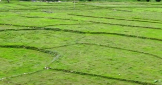 घरजग्गाको कारोबार बागमती प्रदेशमा बढ्यो, मधेसमा घट्यो ?