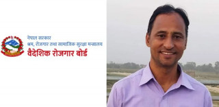 वैदेशिक रोजगार बोर्डको कार्यकारी निर्देशकमा द्वारिका उप्रेती नियुक्त