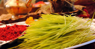 विजयादशमीको साइत सार्वजनिक,  बिहान ११:५१ बजे 