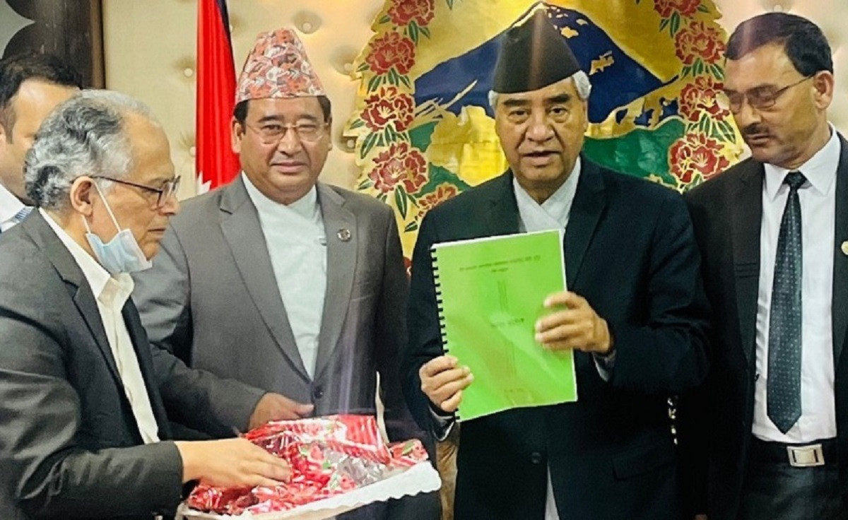 निजगढमा नै विमानस्थल उपयुक्त हुने विज्ञ समूहको निष्कर्ष