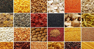 खाद्य सुरक्षाका लागि थप लगानी गर्न आग्रह