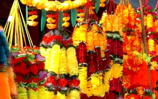 चाडपर्वमा प्लास्टिकको माला विक्री गर्न नपाइने, वाताबरण विभागले दियो कारवाहीको चेतावनी